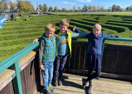 Irrgarten Kleinwelka