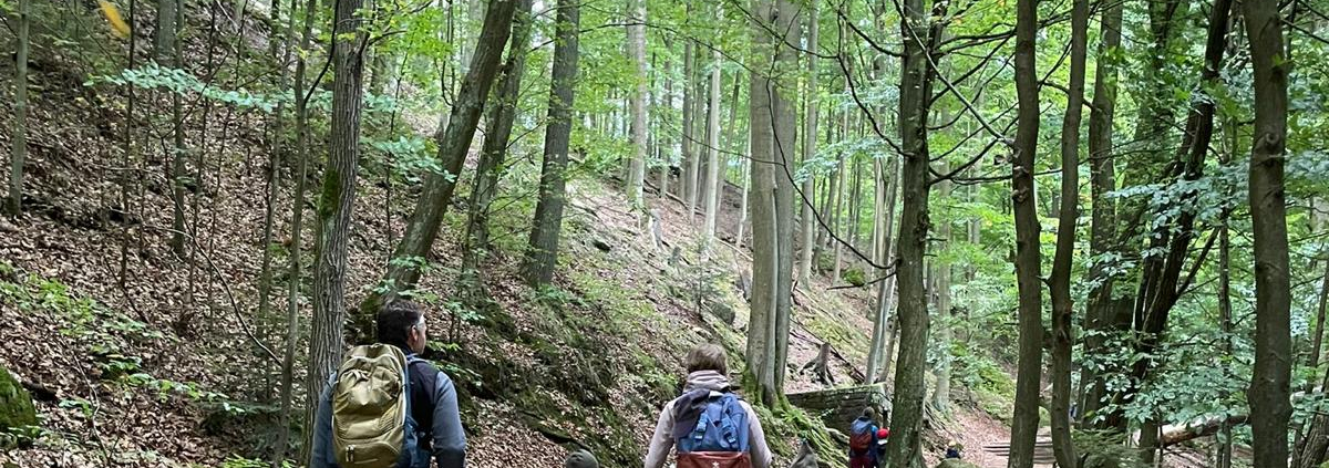 Wandern